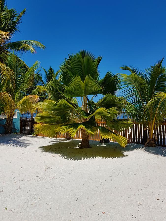 Villa Carolyn'S House à Caye Caulker Extérieur photo